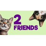 2 Friends 
