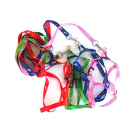 Lesă + Ham 1 cm x 1,2 m