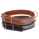 Zgardă ”Collar” cu bandă reflectorizantă 3,5 cm x 48-63 cm