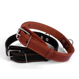 Zgardă ”Collar” 2,5 cm x 38-50 cm