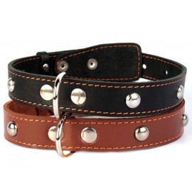 Zgardă ”Collar” cu decorațiuni 2,5 cm x 38-50 cm