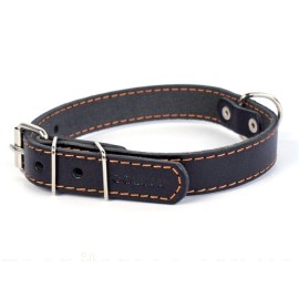 Zgardă ”Collar” 3,5 cm x 48-63 cm