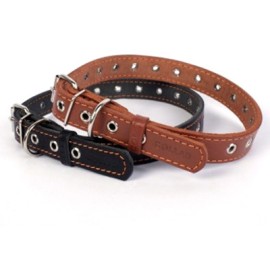 Zgardă ”Collar” 2,0 cm x 50 cm