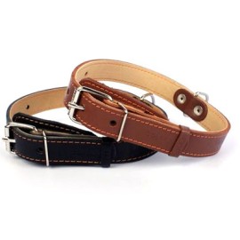 Zgardă ”Collar” dublă 2,5 cm x 38-50 cm