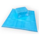 Covorașe absorbante Economic pentru câini, 60x60 cm (40 bucăți)