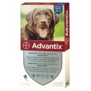 Bayer Advantix pentru câini mai mult de 25 kg (1 fiolă)