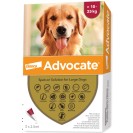 Bayer Advocate pentru câini de la 10 la 25 kg (1 fiolă)