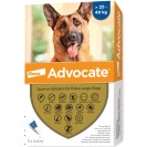 Bayer Advocate pentru câini de la 25 până la 40 kg (1 fiolă)