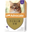 Advocate pentru pisici 4-8 kg (1 fiolă)