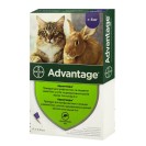 Bayer Advantage 80 pentru pisici și iepuri de la 4 până la 8 kg