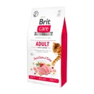 Brit Care Adult Activity Support, cu pui și curcan pentru pisici, 1 kg (la cântar)