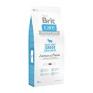 Brit Care Grain-Free Junior Large Breed Salmon&Potato, cu somon și cartofi pentru căței, 12 kg