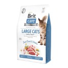 Brit Care Large Cats Power&Vitality, cu rață și pui pentru pisici, 7 kg