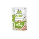 Brit Care Soup with Turkey, cu curcan pentru pisici, 75 g