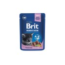 Brit Premium for Kitten, cu pește alb pentru motănei, 100 g