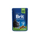 Brit Premium for Sterilised, cu pui pentru pisici, 100 g