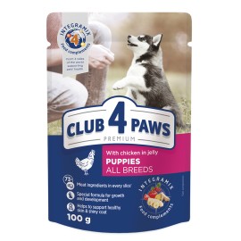 Club 4 Paws Puppies All Breeds, cu pui în jeleu pentru căței, 100 g (24 bucăți)  