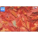 Dajana Colour Flakes, hrană pentru peștișori, 13 g