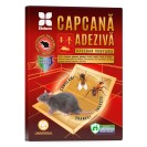Capcană adezivă împotriva la dăunători (mare)