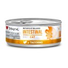 Disugual Intestinal Diet Cat, cu curcan pentru pisici, 85 g