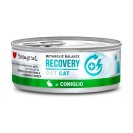 Disugual Recovery Diet Cat, cu iepure pentru pisici, 85 g