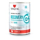 Disugual Recovery Diet Dog, cu miel pentru câini, 400 g