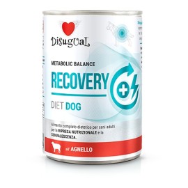 Disugual Recovery Diet Dog, cu miel pentru câini, 400 g