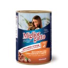 Miglior Gatto, cu pui și morcov pentru pisici, 405 g