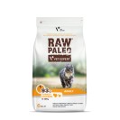 Raw Paleo Adult, cu curcan și pui pentru pisici, 6 kg