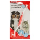 Toothbrush periuță pentru dinți