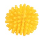 Trixie Minge arici, 3 cm